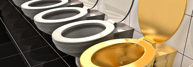 WaterHouse Toilet Repair