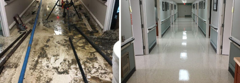 Hays + Sons Restoration (Indianapolis)
