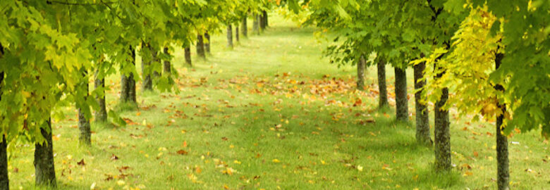 L And L Environmental Services LLC