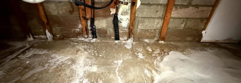 DRYmedic Restoration Services of Indianapolis