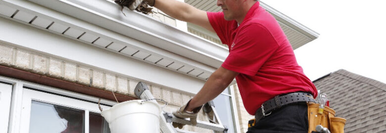 Mr. Handyman of Metro East