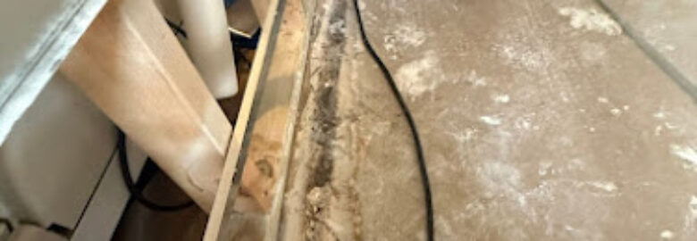 ProSteam Carpet Care & Restoration