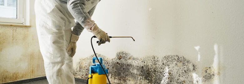 Mercer Water Damage Restoration & Repair