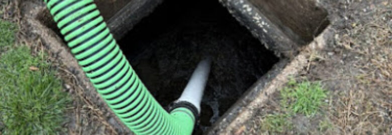 V1 Environmental