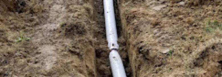 Perennial Plumbing